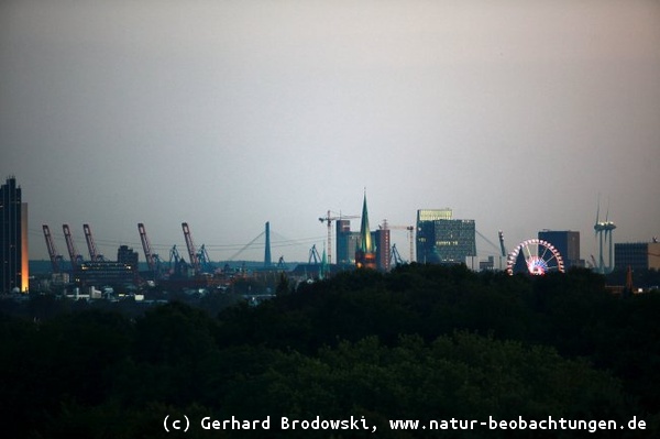 Hamburg bei Nacht: Hafen & Dom
