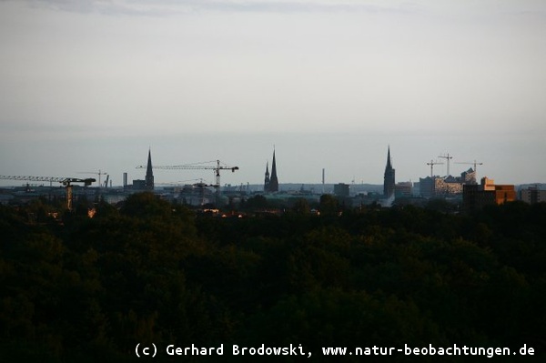 Hamburg bei Nacht: Elbphilharmonie & Kirchen