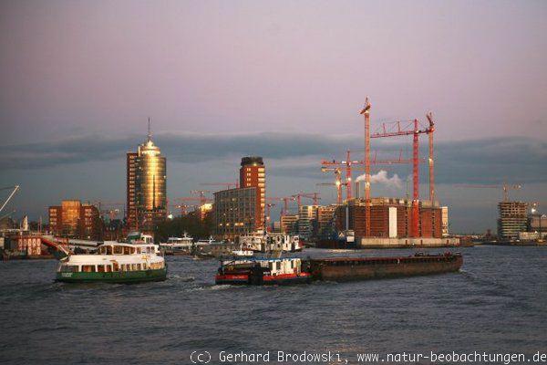 Barkasse und Schute im Hamburger Hafen