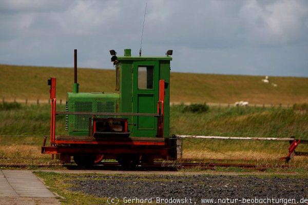 Hallig Bahn in Schleswig-Holstein