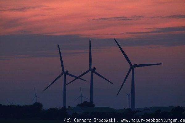 Windkrafträder in Schleswig-Holstein