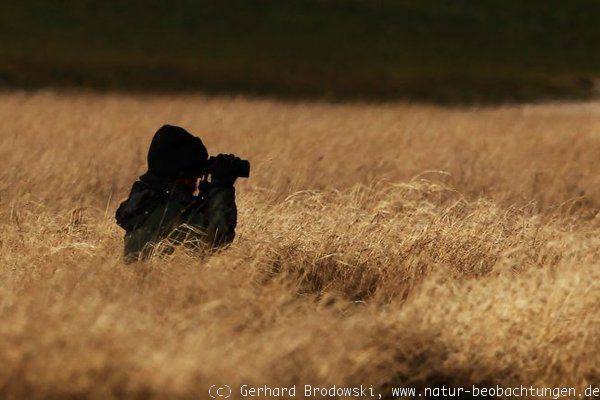 Vogelbeobachtung in der Natur