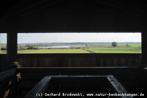 Blick vom Aussichtsturm Freesdorf auf das NSG Borcheltsbusch