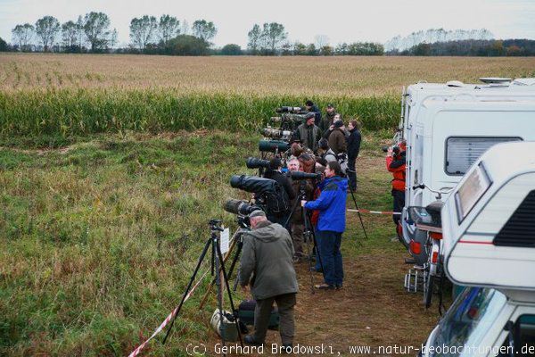 Fotografen bei den Kranichen in Mecklenburg-Vorpommern