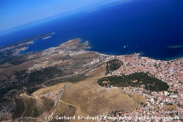 Die Vogelinsel Lesbos aus der Vogelperspektive
