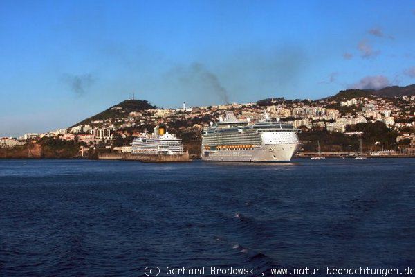 Der Hafen von Madeira