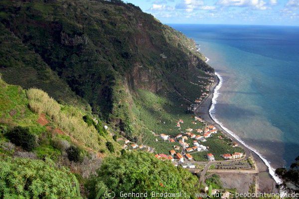 Natur-Bilder von Madeira