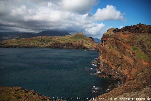 Natur-Bilder von Madeira