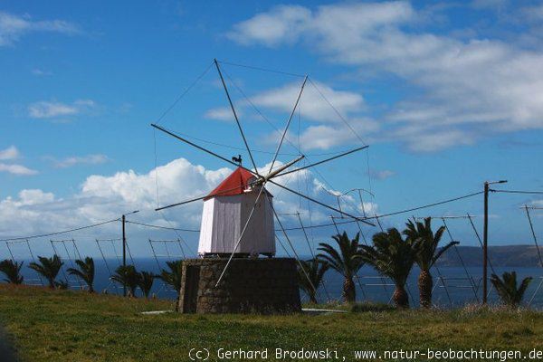 Windmühle von Porto Santo