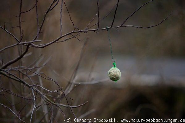 Meisenknödel