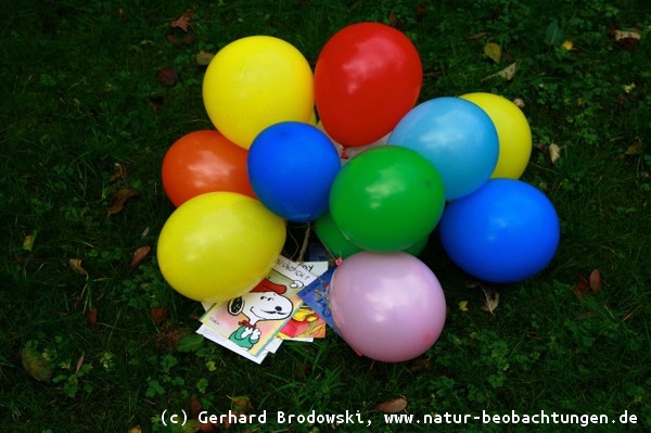 Luftballons in der Natur die tödliche Gefahr für Tiere