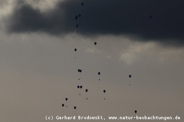 Denkt daran! Luftballons verschmutzen unsere Weltmeere