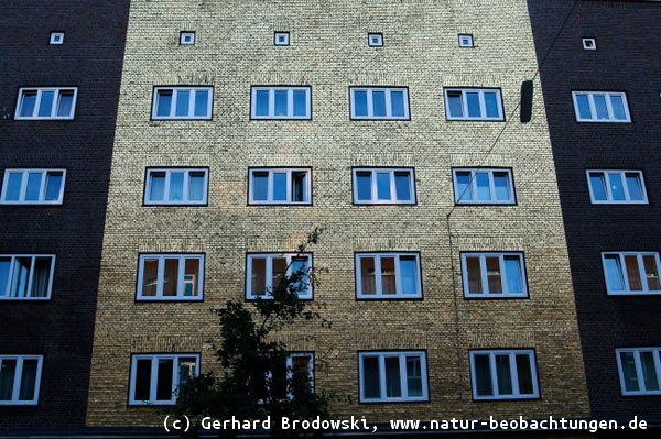 Menschen hungern und Tiere sterben aus - Aber Hamburg hat ein Goldenes Haus 