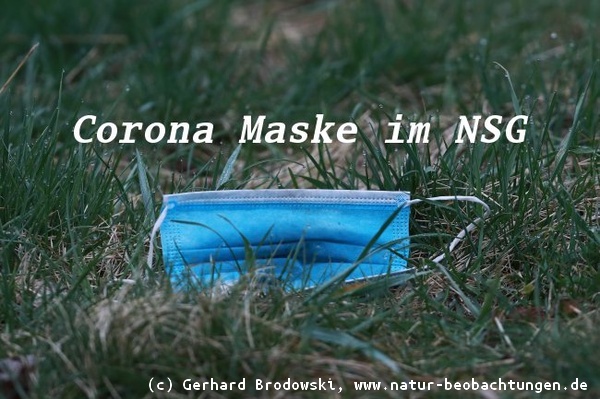 Gebrauchte Corona Maske ist Sondermüll und gehört nicht ins NSG