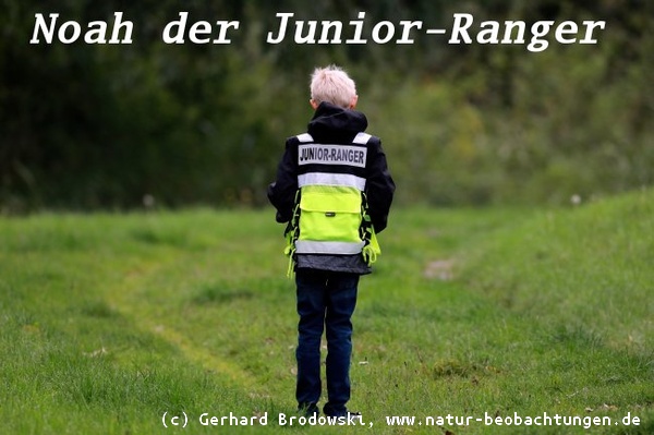 Noah ist jetzt ein Junior-Ranger in Deutschland