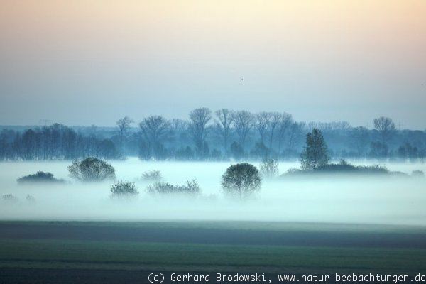 Herbst 2012: Der Winter kommt bestimmt