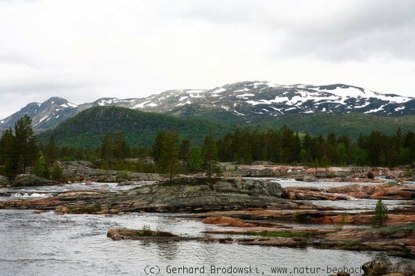Naturerlebnis: Landschaftsbild Norwegen