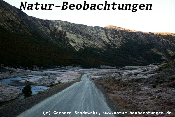 Bild zu den schönsten Straßen von Norwegen