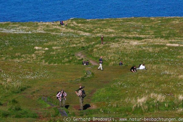 Massentourismus auf der Vogelinsel Runde in Norwegen