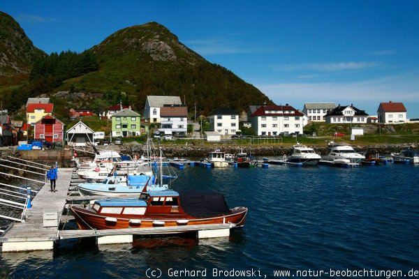 Hafen auf der Vogelinsel Runde in Norwegen