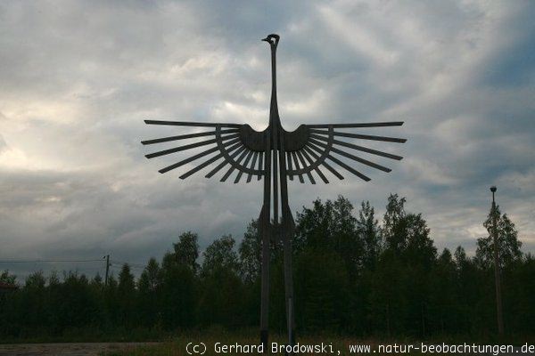 Bilder zur Norwegentour - Der größte Vogel