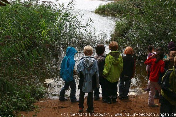Schulkinder erleben das auflaufende Wasser im NSG