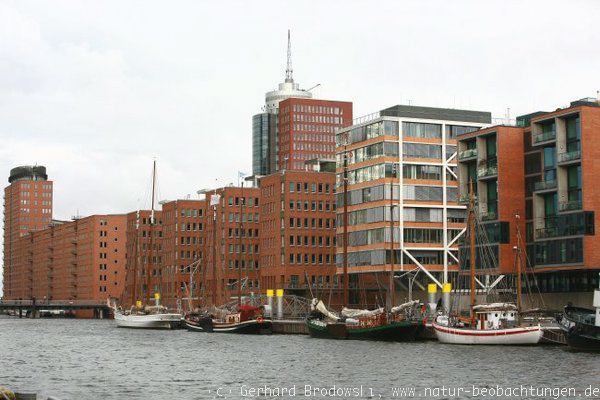 Hamburger Hafencity ohne Bäume und ohne Vögel