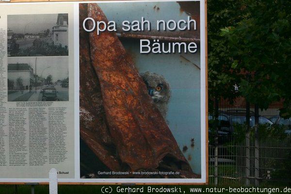 Opa sah noch Bäume