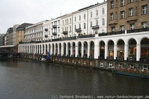 Alsterarkaden in Hamburg