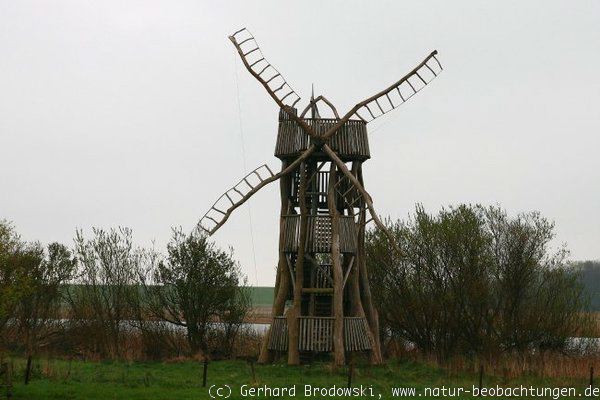 Fotomotiv: Windmühle auf Texel in Holland