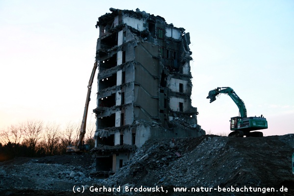 Abriss vom alten BP Gebäude in Hamburg City Nord