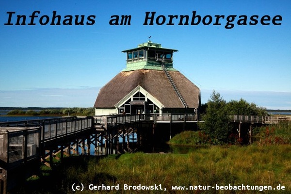 Bild zum Infohaus am Hornborgasee in Schweden