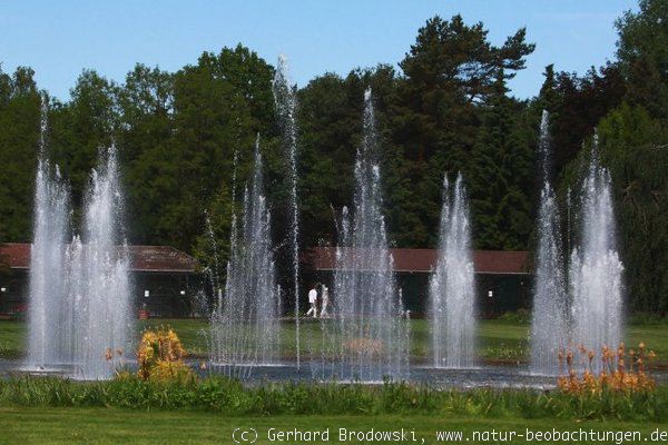 Wasserfontäne im Vogelpark Walsrode
