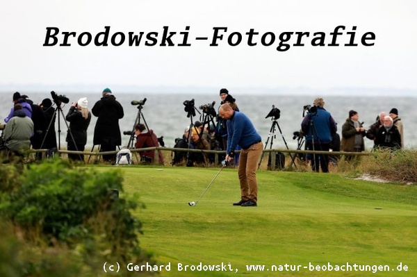 Golfspieler und Vogelkundler in Falsterbo
