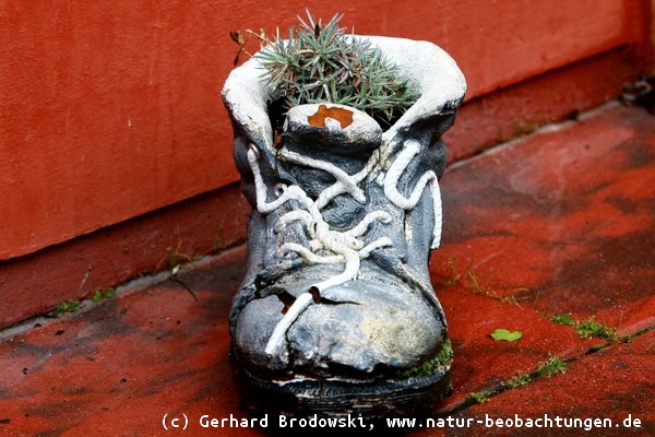 Zum Wandern immer die richtigen Schuhe