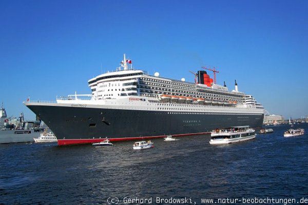 Ein Bild vom Kreuzfahrtschiff Queen Mary 2 in Hamburg